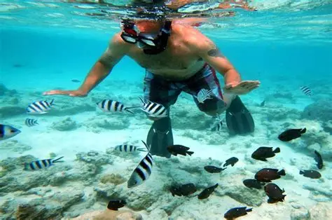 🌊 Snorkeling Safety Briefing for Non‑Swimmers