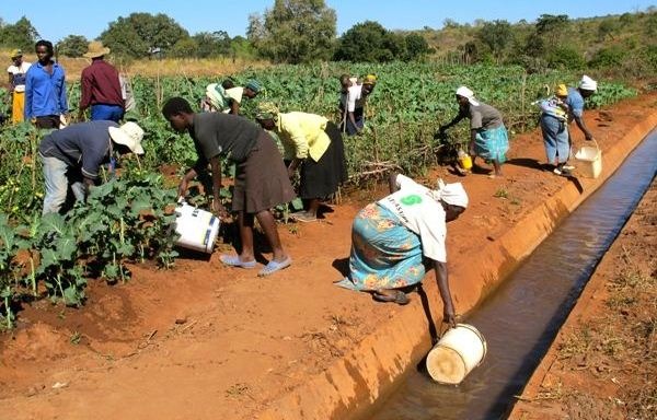 Fivebulls community partnership in Chiweshe