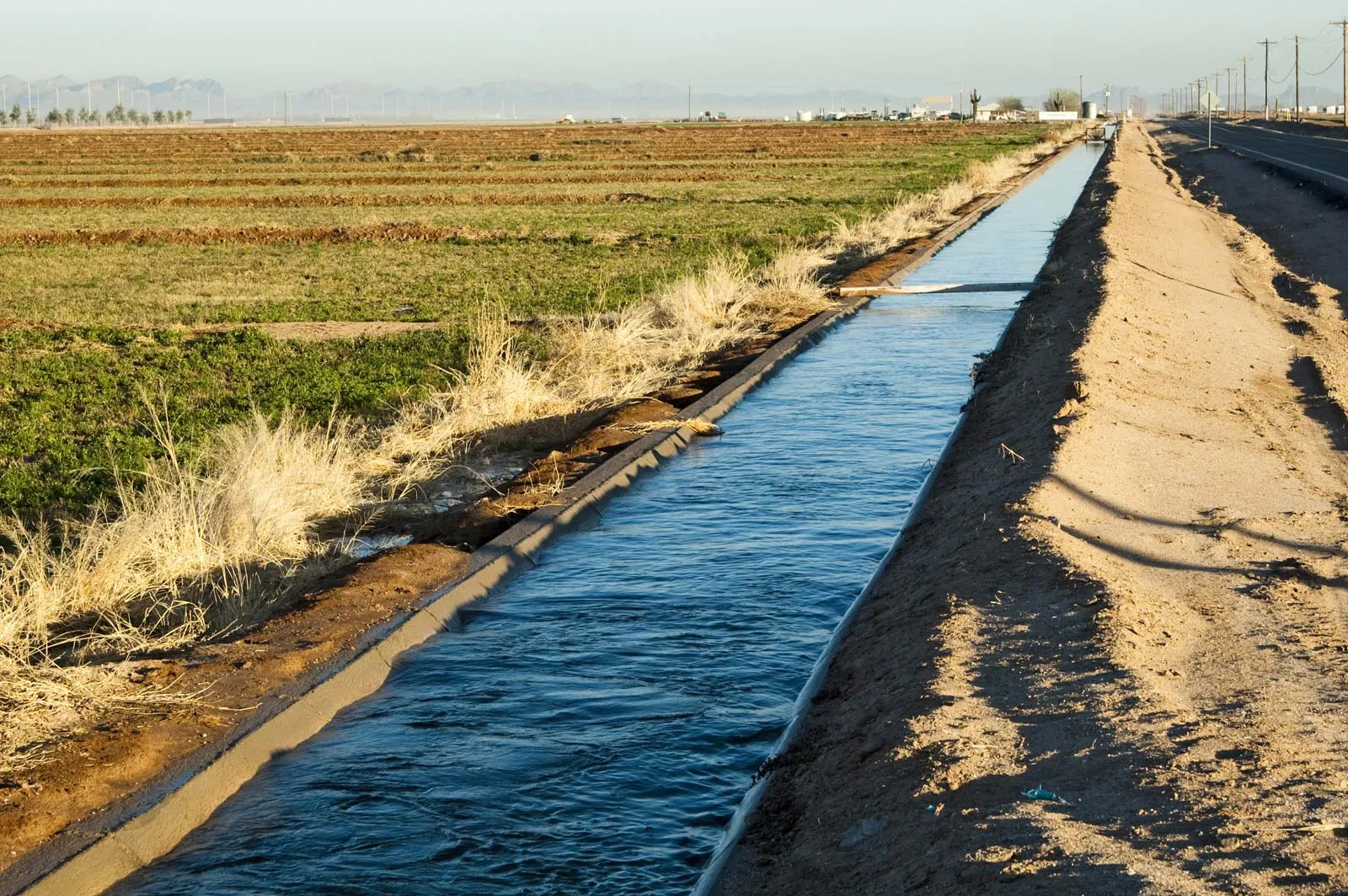 Irrigation canal at Negomo farm fields